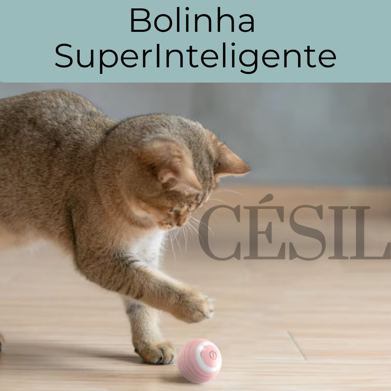 Bolinha mágica Césil (Pet Smart®)