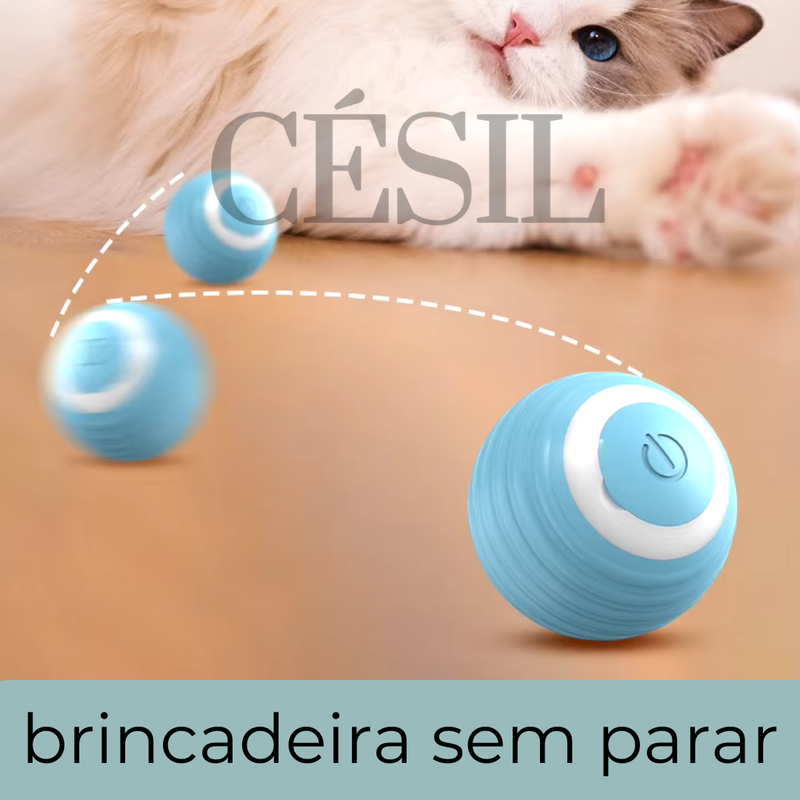 Bolinha mágica Césil (Pet Smart®)