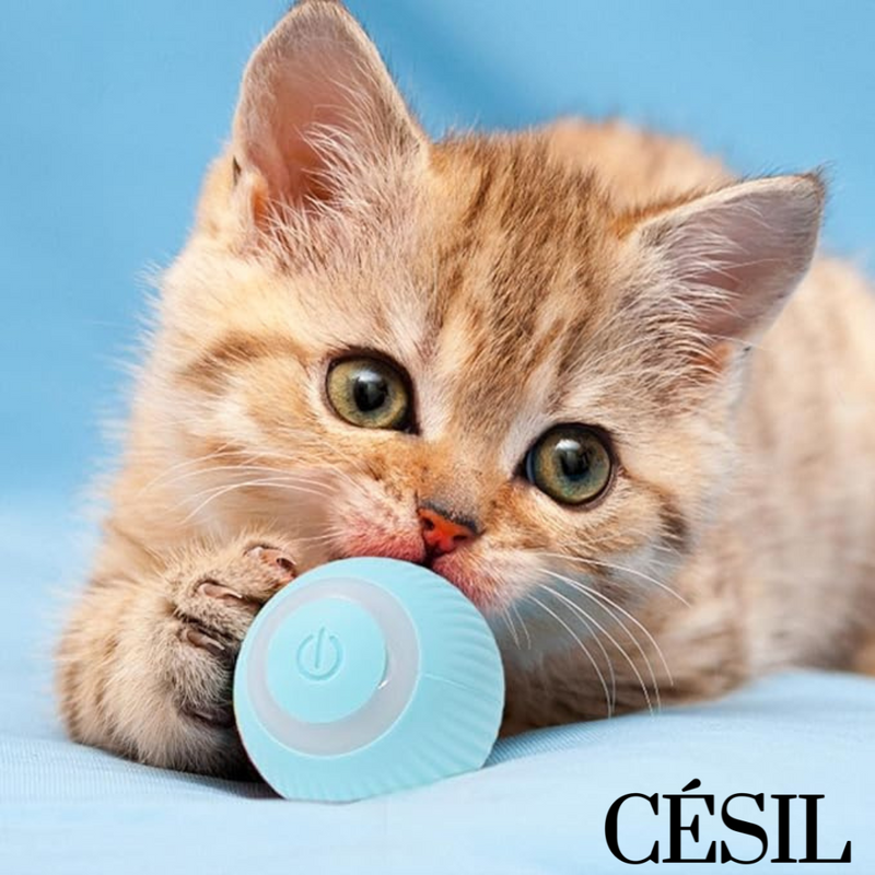 Bolinha mágica Césil (Pet Smart®)