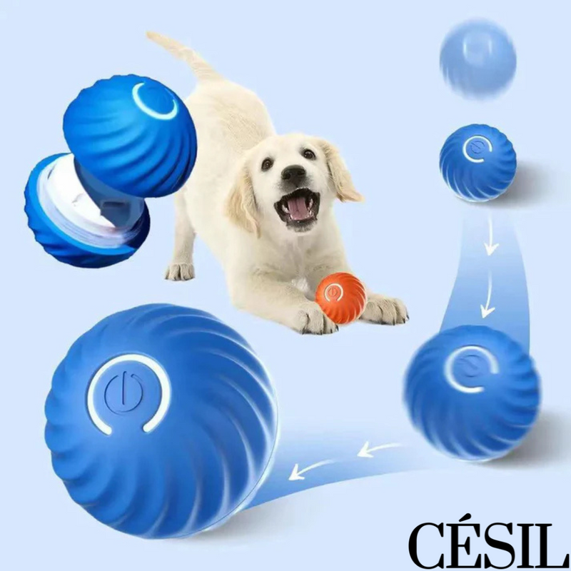 Bolinha mágica Césil (Pet Smart®)